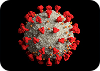 New insights may reshape strategies to manage COVID-19 infection