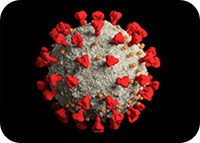 New insights may reshape strategies to manage COVID-19 infection