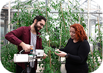 New Master's in Plant Biology at ITQB NOVA