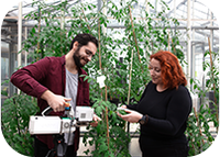 New Master's in Plant Biology at ITQB NOVA