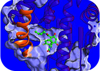 New tools for drug design