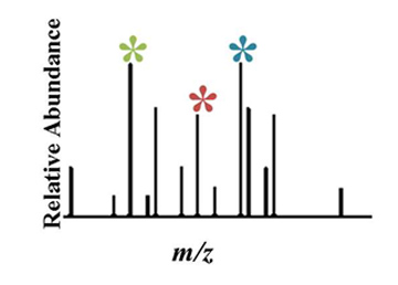 Plant Metabolomics