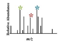 Plant Metabolomics