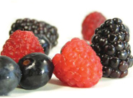 Promoting berries in Europe