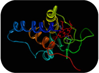 Protein Data Bank roadshow at ITQB