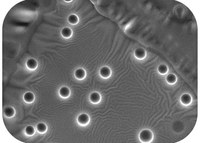 Spontaneously formed nano-sized emulsions