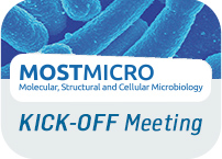 Starting MOSTMICRO