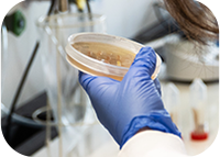 Students step up as "antibiotic guardians" against resistance