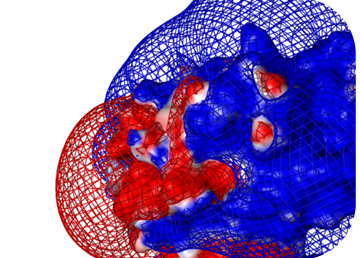 The importance of protein electrostatics