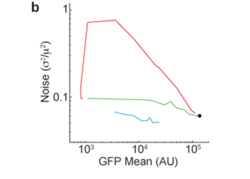 Reducing “noise” in gene expression