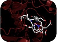 Enzyme evolution pictured by X-ray crystallography