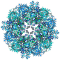  X-ray structure from ITQB in Science 