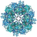  X-ray structure from ITQB in Science 