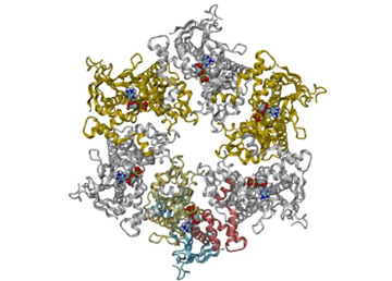 Yet a new role for multirole proteins