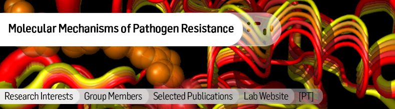 Molecular-Genetics-of-Microbial-Resistance.jpg