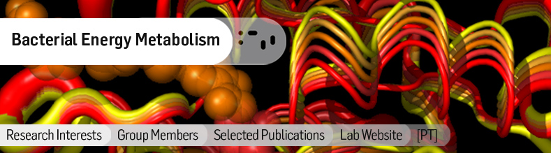 Bacterial Energy Metabolism.jpg