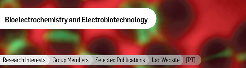 Bacterial Energy Metabolism.jpg