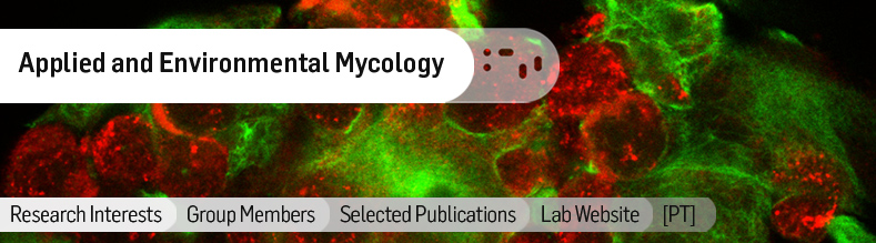 Applied-and-Environmental-Mycology.jpg