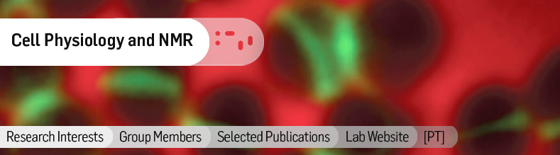 Cell-Physiology-and-NMR.jpg