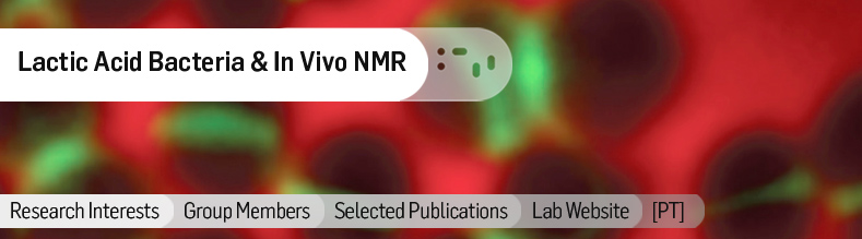 Lactic-Acid-Bacteria-&-In-Vivo-NMR.jpg