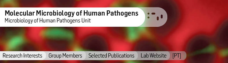 Molecular-Microbiology-of-Human-Pathogens.jpg