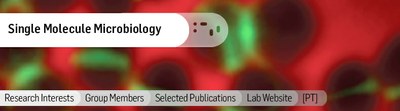 Single Molecule Microbiology 