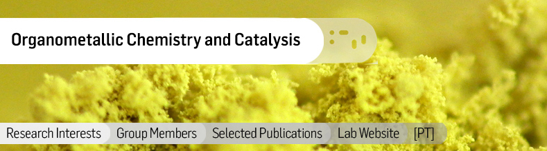 Homogeneous-Catalysis.jpg