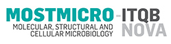 logos_mostmicro_200px.jpg