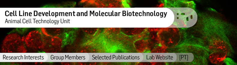Cell-Line-Development-and-Molecular-Biotechnology.jpg
