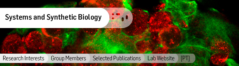 Biomolecular-Diagnostics.jpg