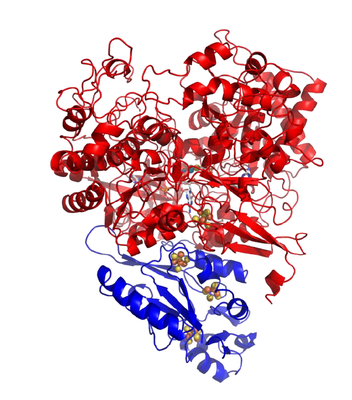1. Estrutura da formato desidrogenase - DvFdhAB