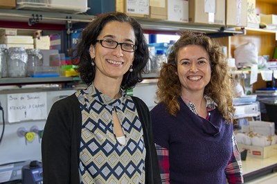 1. Laboratório PlantX - Carlota Vaz Patto e Susana Leitão