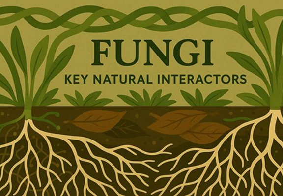 Fungi: Friends of Foe