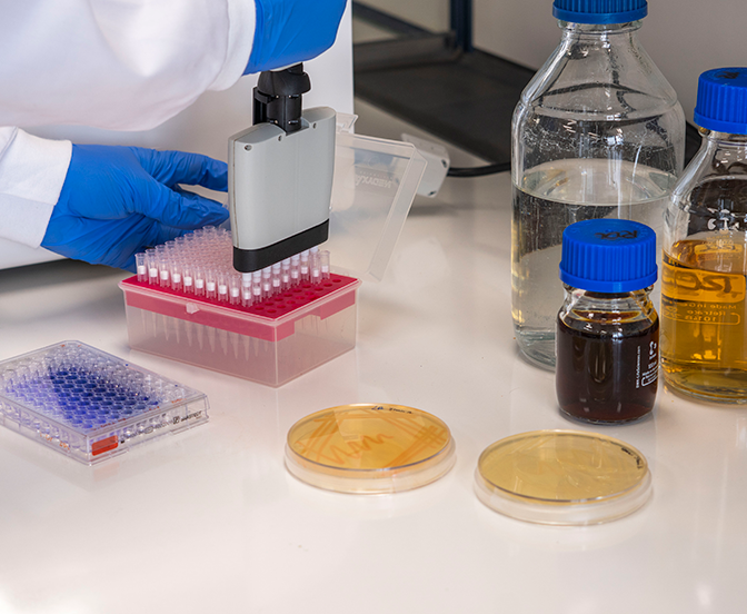 New MOSTMICRO-ITQB projects explore questions from gut health to lymphoma
