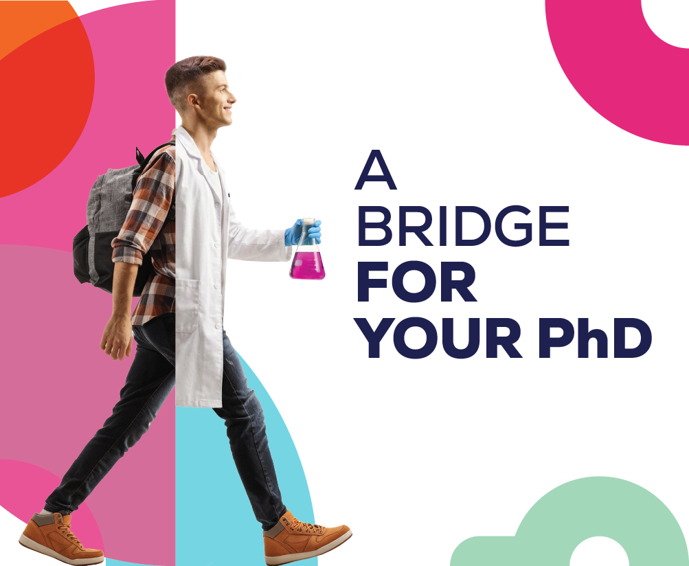 BRIDGE Fellowships