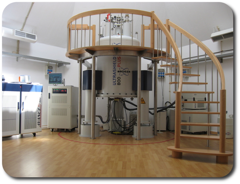 Bionolecular NMR Home Page