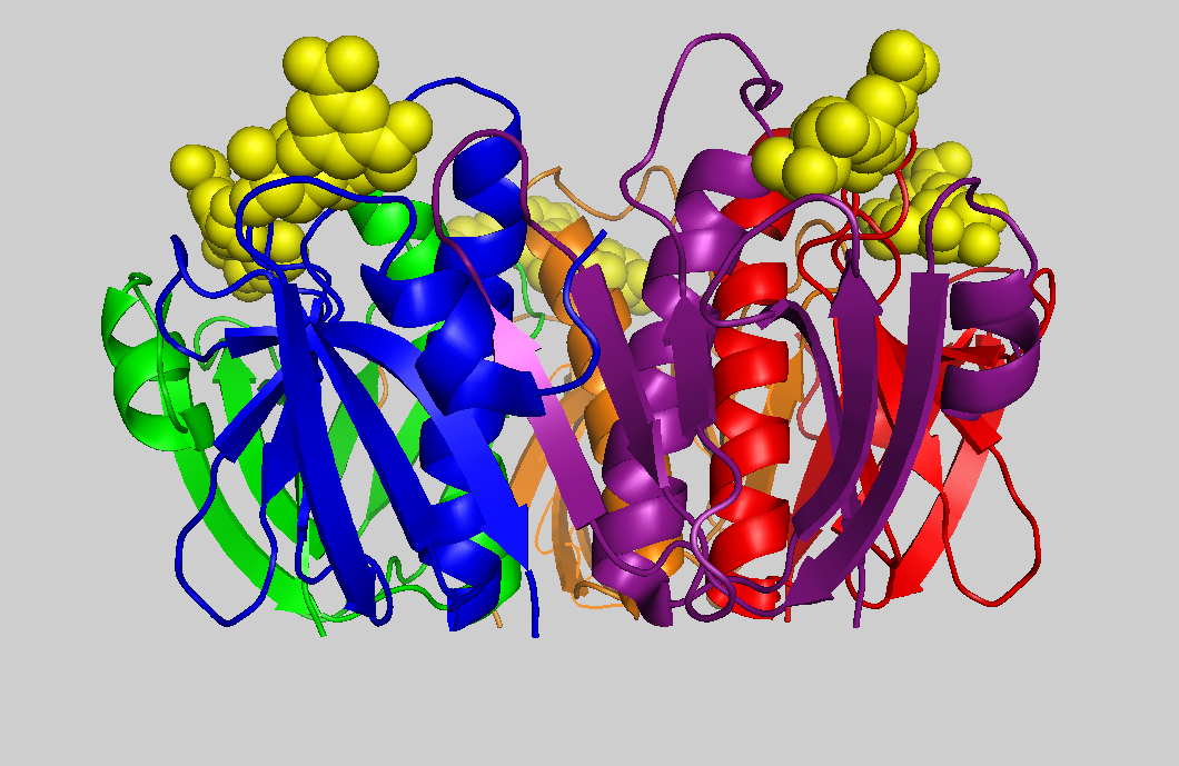 cholera toxin structure