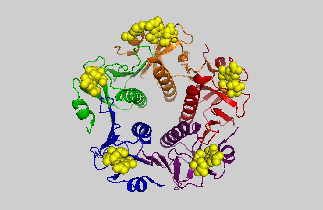 cholera toxin structure