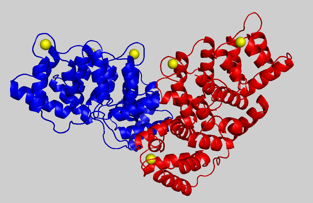 Холин ацетилтрансфераза. Белки молекулы. Протеины это биохимия. Белок аннексин.