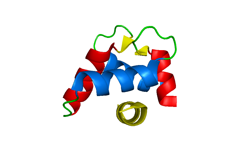 calmodulin domain and target peptides